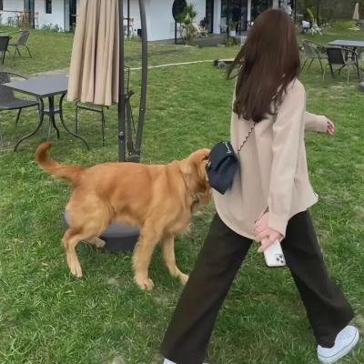 孪生陌生人
