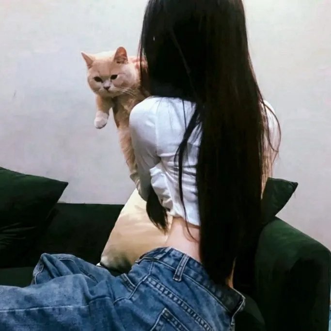 老狗