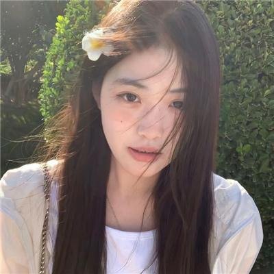 华丽的休假